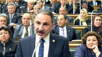 «تقصي حقائق القمح»: لسنا متحيزين ضد أحد.. والفساد أصبح منظومة