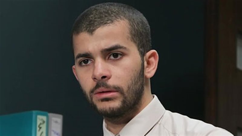 الفنان رامز أمير