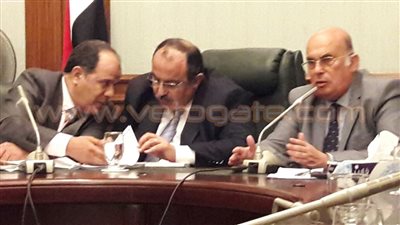 بالصور.. محافظ الإسكندرية يلتقي أعضاء «حماة الوطن»