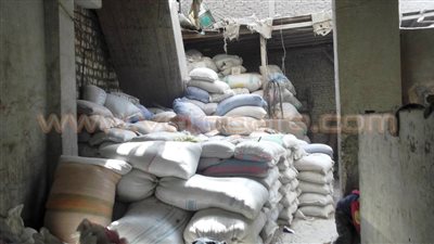 بالصور.. مزارعو المنيا يرفضون شرط إثبات الحيازة لتوريد القمح.. وقفات احتجاجية أمام ديوان المحافظة.. مدير «زراعة المنيا»: «بنفذ تعليمات الوزير».. والفلاحون: «الحكومة بتساعدنا و