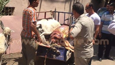 ضبط شخصين لمتاجرتهما في لحوم الحمير بفاقوس