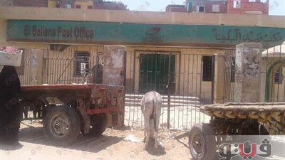 بالصور.. مكتب بريد البلينا بسوهاج يتحول لحظيرة حمير