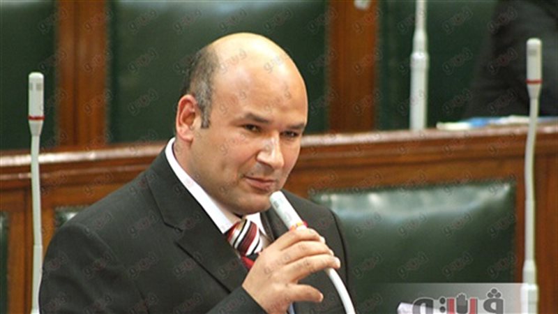 علاء حسانين