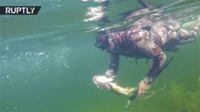 بالفيديو.. بوتين يصطاد السمك تحت الماء