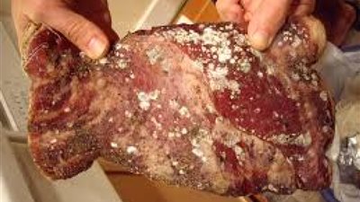 غلق ٣ محال جزارة لعرضها لحوما فاسدة في القليوبية