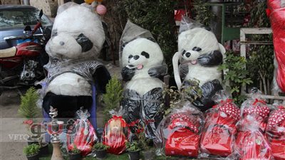 بالفيديو.. إقبال ضعيف على محال بيع هدايا عيد الحب في الدقي