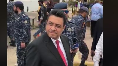 سفير مصر بالكويت ينظم طوابير الناخبين خارج لجان الاقتراع (فيديو)