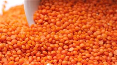 العدس الأصفر يسجل 12 جنيها للكيلو جرام بالفيوم