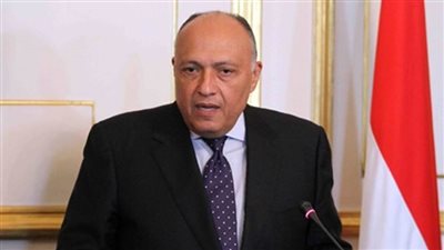 الخارجية: يحق لمزدوجي الجنسية التصويت في الانتخابات الرئاسية