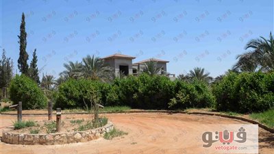 بالصور.. مخالفات شركة «فيردي» بالطريق الصحراوي.. تغيير نشاط 170 فدانا من الزراعة إلى فيلات سكنية.. خبراء الكسب يحددون نسبة المخالفات لسداد حق الدولة.. وإحالة الواقعة إلى قضاة التحقيق