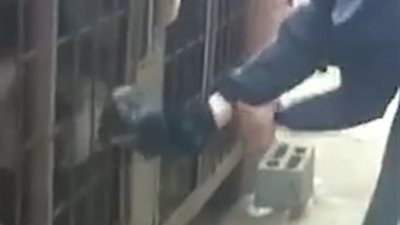 شاهد.. كلب يفزع رجلا حاول ضربه