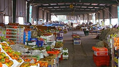 تراجع أسعار الفاكهة المستوردة مع انخفاض سعر الدولار