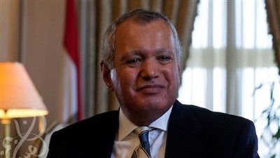 وزير الخارجية الأسبق: موقف المصريين بالخارج يدعو للفخر