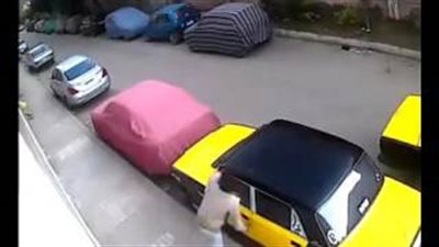بالفيديو.. «حرامي» يكسر نافذة تاكسي ويسرق محتوياته بالإسكندرية
