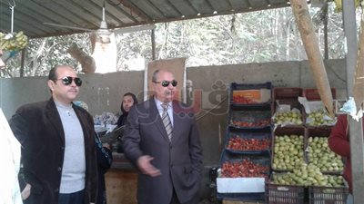 ضبط مخالفات تموينية متنوعة في فايد بالإسماعيلية (صور)