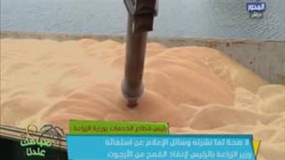 بالفيديو.. «الزراعة» تنفي استغاثة الوزير بالسيسي لإنقاذ القمح من الإرجوت