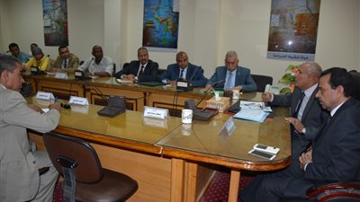 محافظ الوادي: «إزالة 98% من التعديات على أراضي الدولة»