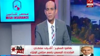 بالفيديو.. المتحدث باسم مجلس الوزراء يعد بعلاج الطفلة «جنى»