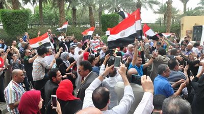 أرقام في انتخابات المصريين بالخارج