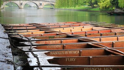 «ديلي ميل» تنشر أفضل صور مسابقة المناظر الطبيعية ببريطانيا