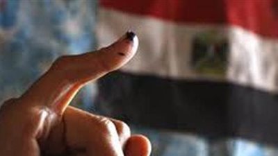 المصريون باليابان والكوريتين يواصلون التصويت بانتخابات الرئاسة