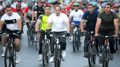 سمير علام: اهتمام 