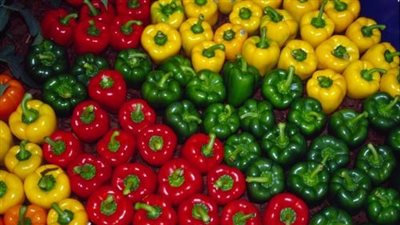 «الفلفل الألوان» يسجل 10 جنيهات بسوق العبور