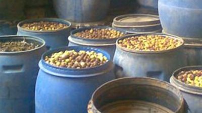 إعدام 9 أطنان مخللات فاسدة داخل مصنع في أبو النمرس