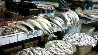 تباين أسعار الأسماك اليوم والبلطي يسجل 25 جنيها بسوق العبور
