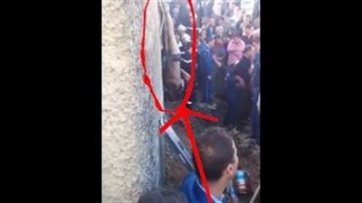 بالفيديو.. تعذيب سارق جزائري بتجريده من ملابسه وتعليقه بجدار