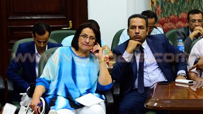 «هنرى» تسحب استجوابها لوزير الزراعة حول القمح المصاب بالإرجوت