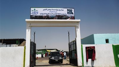 البنك الزراعي ينفذ دراسة للتوسع في الإنتاج الحيواني بالوادي الجديد