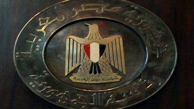 مصر تؤكد رفضها أي تحرك يخرج عن إطار الشرعية الدولية في سوريا