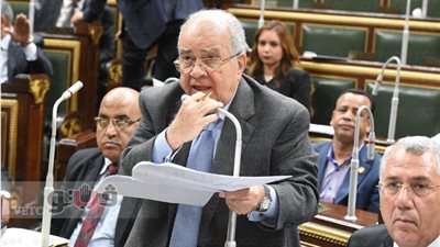 «العجاتي» يرفض إضافة أعضاء جدد لمجلس إدارة بنك التنمية الزراعي