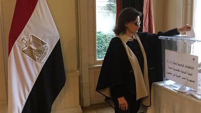 المصريون في تركيا يتوافدون على صناديق الاقتراع (صور)