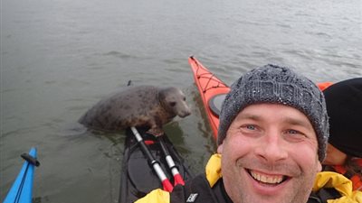 بالفيديو والصور.. كلب بحر يفاجئ راكب قارب بصعوده أعلاه