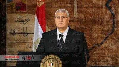 «المدافعين عن حقوق الإنسان» تطالب الرئيس بتعيين مشرف للمجالس المتخصصة