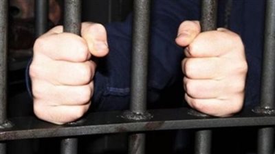 إحالة أدمن صفحة «شاومينج» للجنح.. والسبت أولى جلسات محاكمته