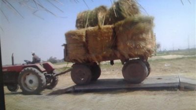 بالصور.. تحرير 17 محضرا للمزارعين بسبب حرق قش الأرز بالشرقية