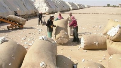 الجريدة الرسمية تنشر قرار «التجارة» رقم 592 بشأن تنظيم تجارة القطن