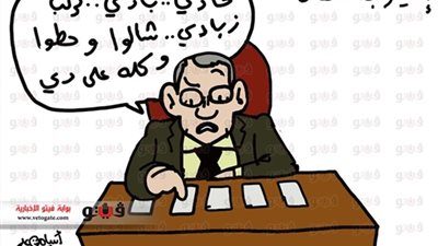 أم أيمن في لجنة تعديل الدستور.. 