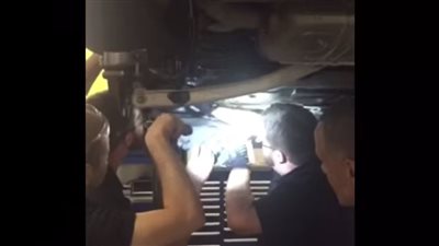 بالفيديو.. امرأة تتبنى قطة «مرسيدس»