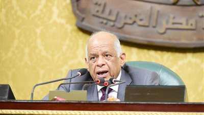 عبد العال: القروض بأيد أمينة.. والعمل وسيلة الخروج من نفق الديون