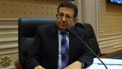 برلماني يشيد بقرار وزير التموين بتوفير مخزون إستراتيجي من القمح