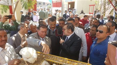 محافظ الفيوم يفتتح عددًا من المشروعات الخدمية في أبشواي