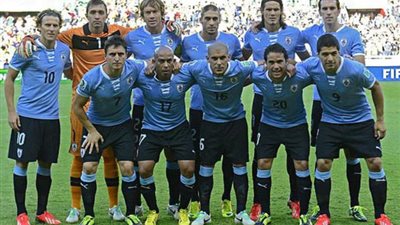 أسراب «النمل» تهاجم غرف لاعبي «أوروجواي» بالبرازيل