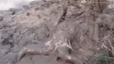 أغرب لعبة للأطفال في باكستان (فيديو)