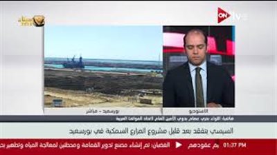 عصام بدوي: لدينا خطة لإنشاء موانئ جديدة شمال شرق مصر (فيديو)
