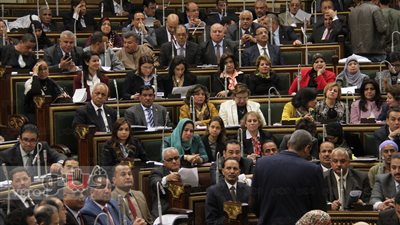 «زراعة البرلمان»: لن نوجه اتهامات للوزير قبل منحه فرصة كاملة