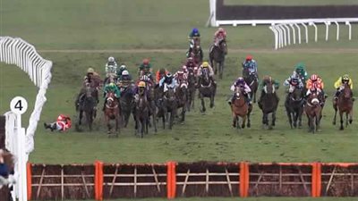 لحظة انكسار ساق حصان بسباق بريطاني (فيديو وصور)